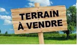 terrain à la vente -   56760  PENESTIN, surface 248 m2 vente terrain - UBI468482864